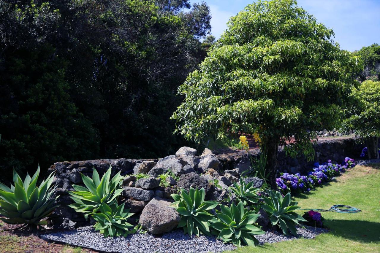 Villa Capelinhos Capelo 外观 照片